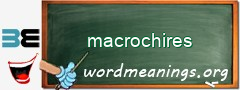 WordMeaning blackboard for macrochires